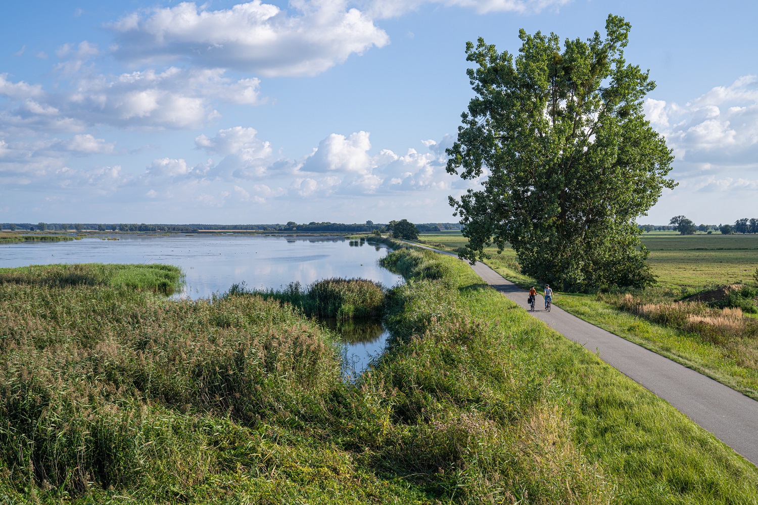Ostsee-Radtouren: Natur pur!